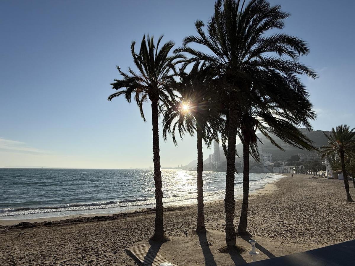 Playa La Albufereta