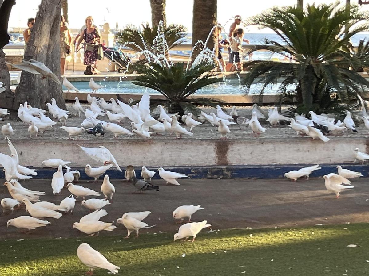 Benidorm Playa.