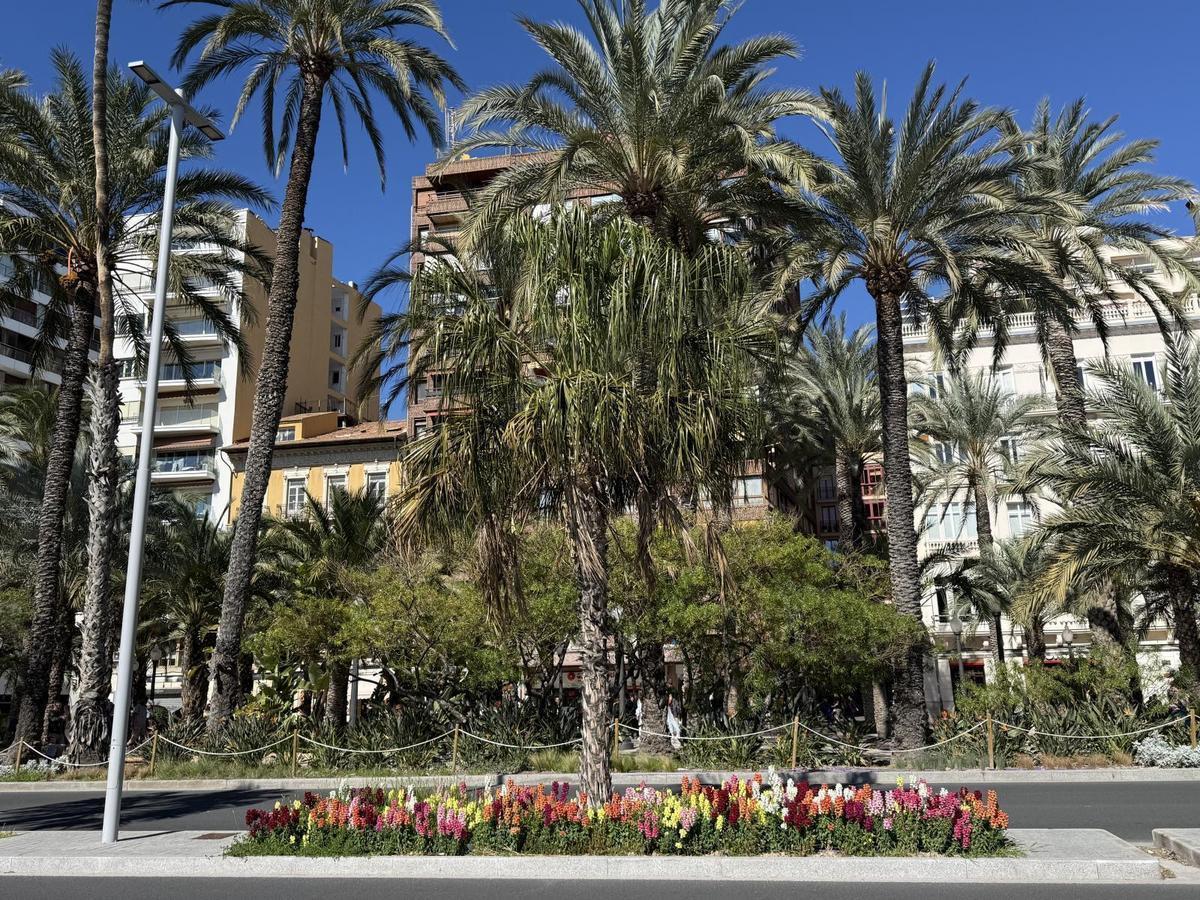 Alicante. Explanada de España