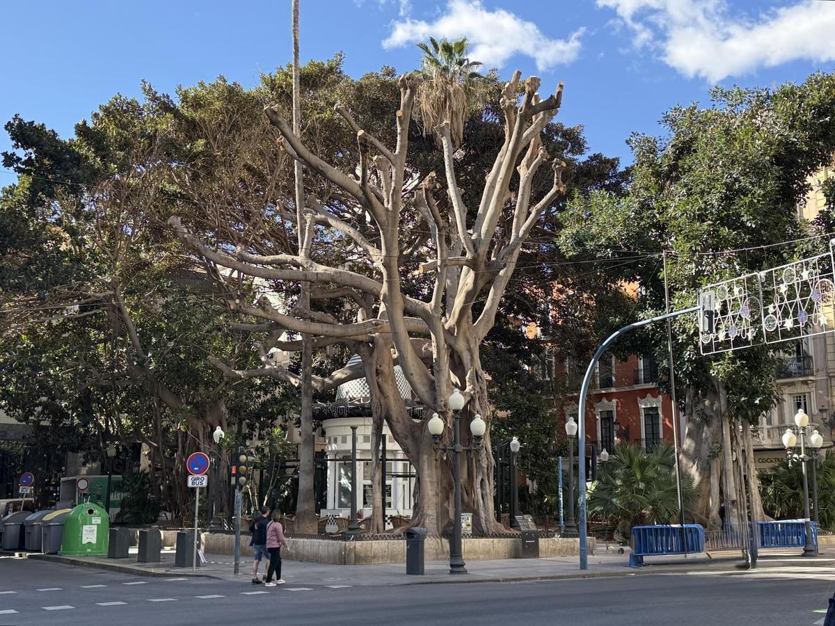 Alicante. Plaza Portal de Elche