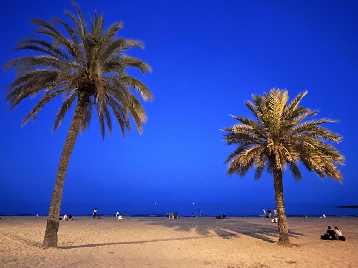 Alicante. Playa de Postiguet