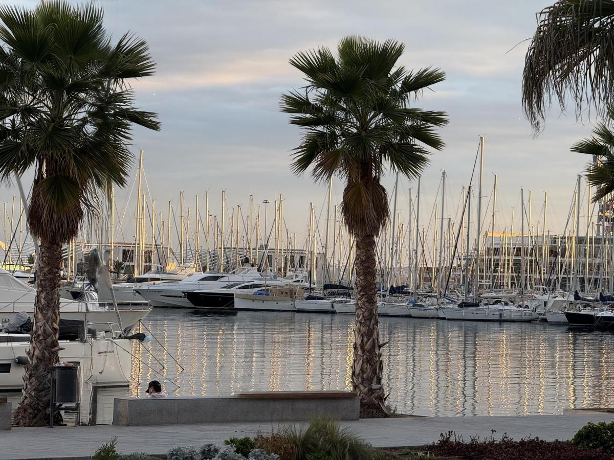 Alicante Marina.