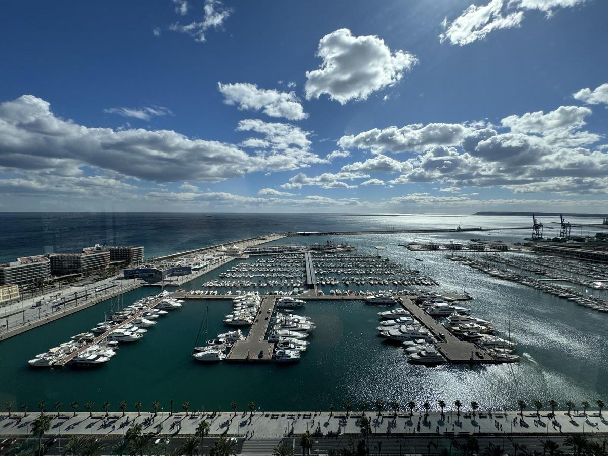 Puro Alicante 12